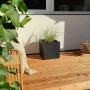Anthrazitfarbener Vivanno Pflanzkübel Block 40x40x40 cm mit Bepflanzung auf Holzterrasse.