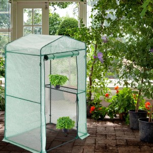 Durchsichtiges Hattoro Foliengewächshaus/Tomatenhaus mit grünen Akzenten und zwei Regalböden.
