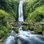 Komar Fototapete Vlies Glenevin Falls mit Wasserfall und grüner Natur, 200x250 cm.