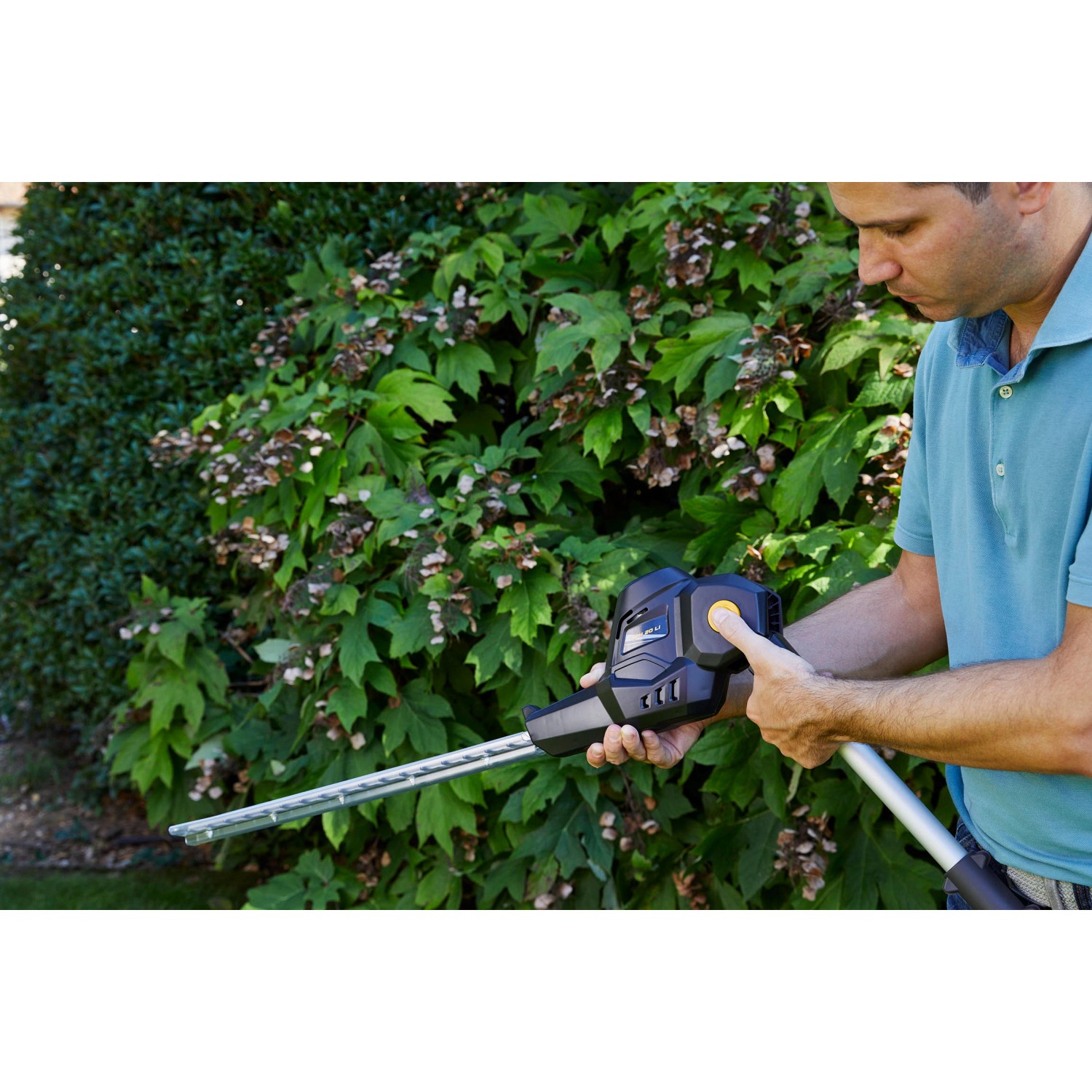 Mann bedient Alpina Akku-Multitool AMT 20 Li Heckenschere vor grüner Hecke.