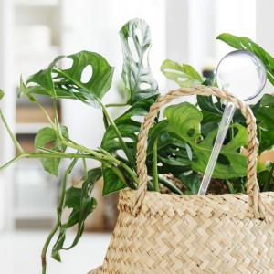 Relaxdays Bewässerungskugeln 10er Set PVC Transparent 8 cm x 28 cm 30 g