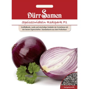 Dürr Samen Speisezwiebeln Redspark F1: Saatgut für rote Zwiebeln.