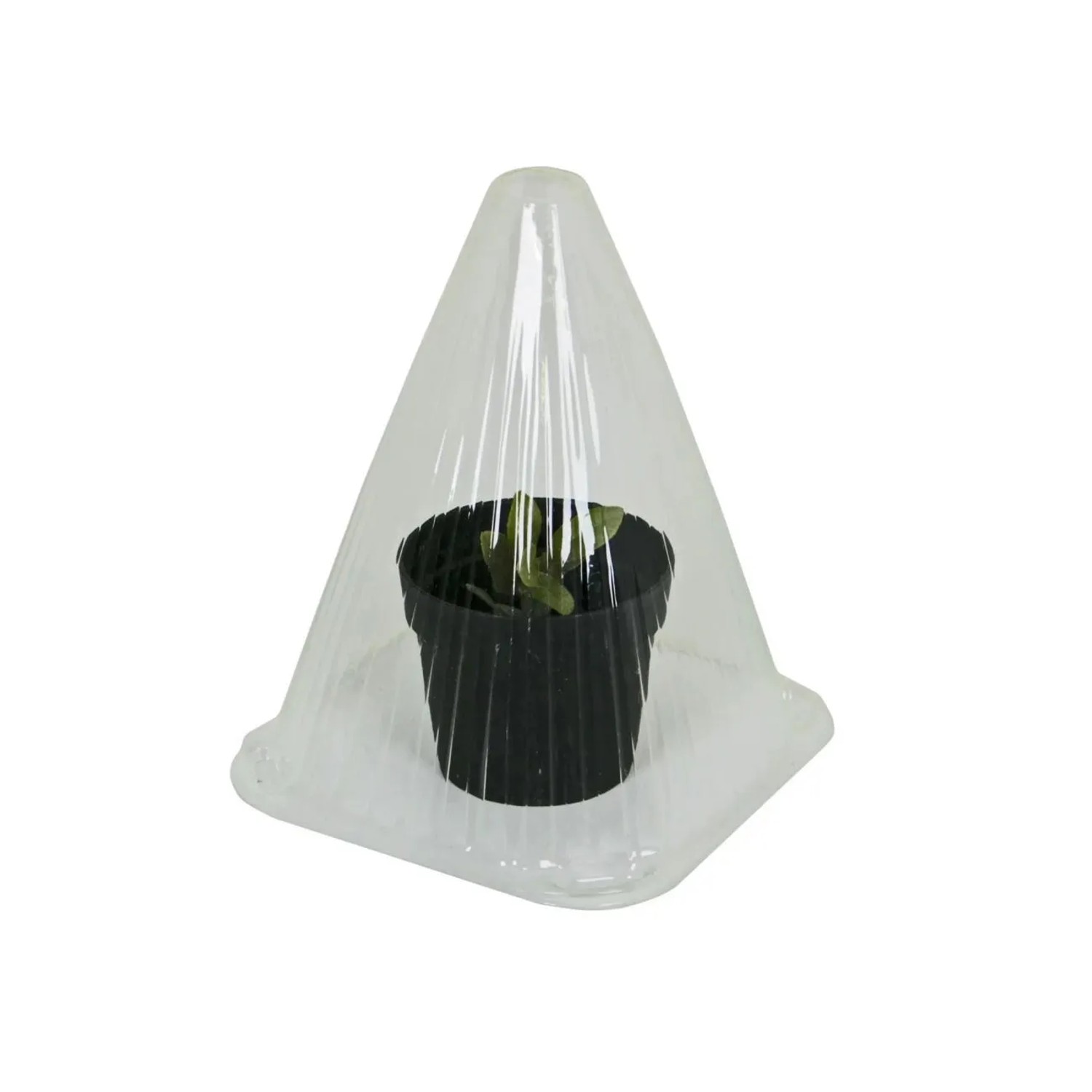 Westfalia Gartenglocken für Anzucht 10 StÜCk PVC 19 X 19 X 23,5 cm
