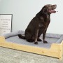 Großes, helles Hunde- bzw. Haustierbett aus Kiefernholz mit Rollrost und grauer Matratze. Ein brauner Labrador sitzt darin.