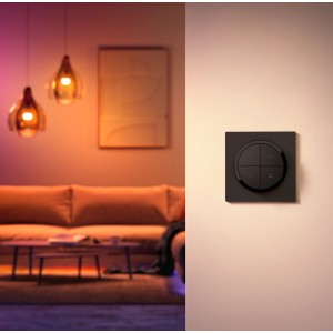 Schwarzer Philips Hue Tap Dial Schalter an Wand, Wohnzimmer im Hintergrund.