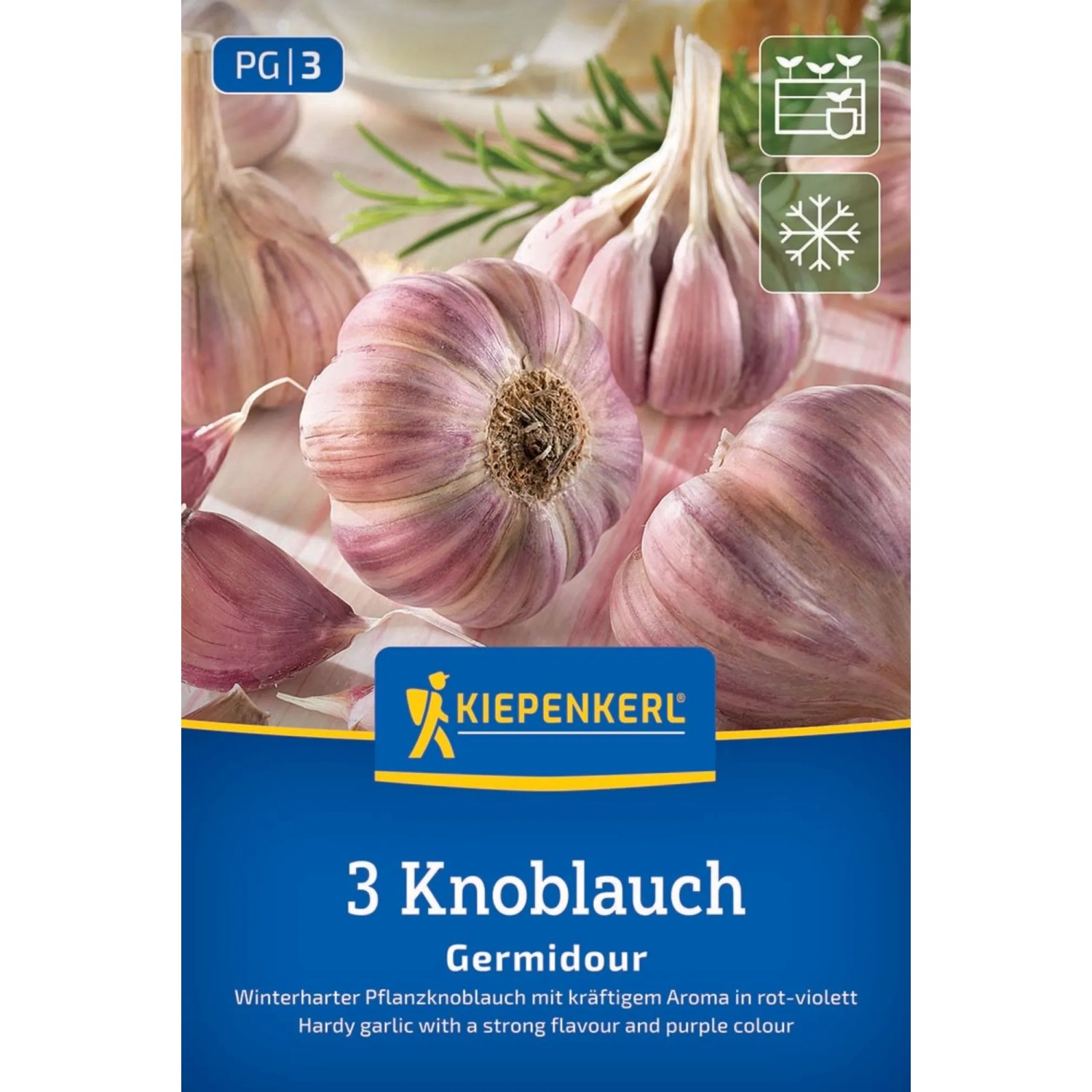 Kiepenkerl Steckzwiebeln Winterpflanzknoblauch Germidour violett 3 Stück
