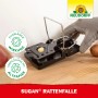 Neudorff Sugan Rattenfalle aus schwarzem Kunststoff und Stahl, mit Köder, wird von einer Hand gespannt. Fangsicher und wiederverwendbar.