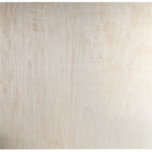 Helle Sperrholzplatte aus Pappel, 1250x830x9mm, für Möbelbau und DIY-Projekte.