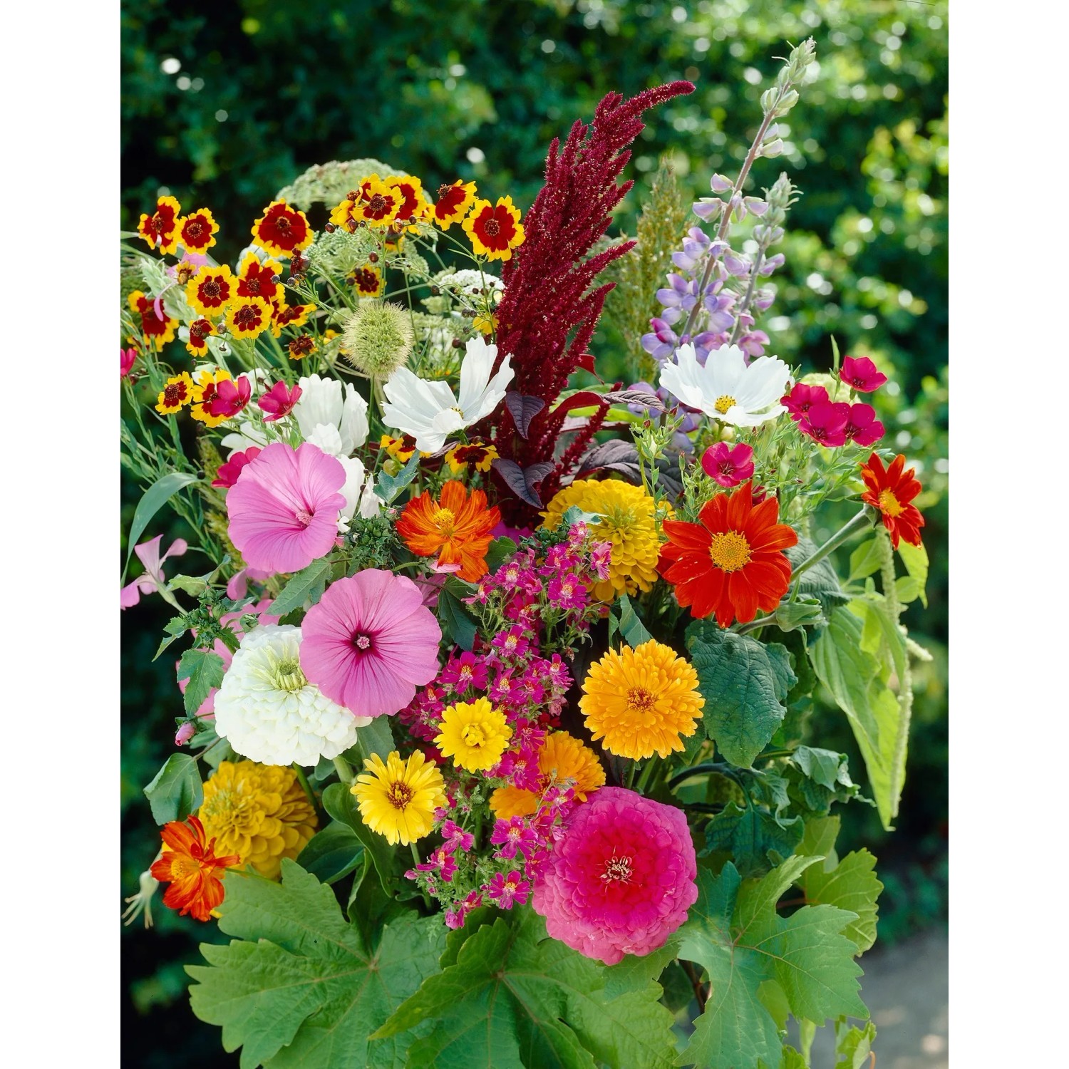 OBI Beetpflanzen Mix Topf Ø 22 cm Bepflanzte Schale