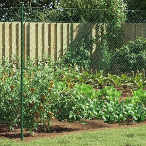 vidaXL Maschendrahtzaun Grün 2 x 10 m Stahl 42033070