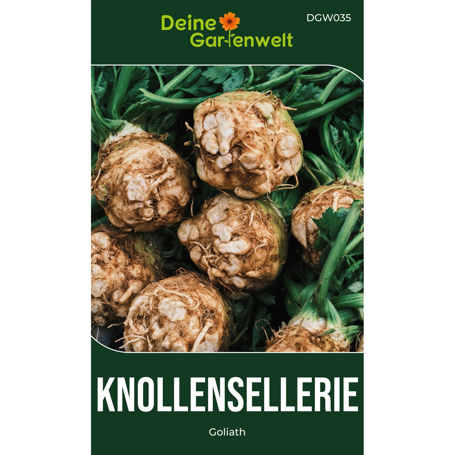 Deine Gartenwelt Knollensellerie Goliath Samen günstig online kaufen
