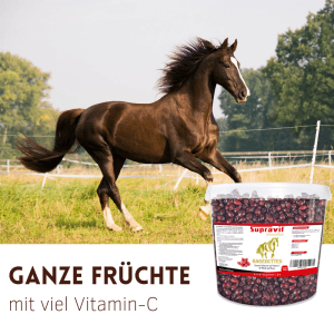 Supravit Hagebutten Pferdeleckerlis mit Vitamin C