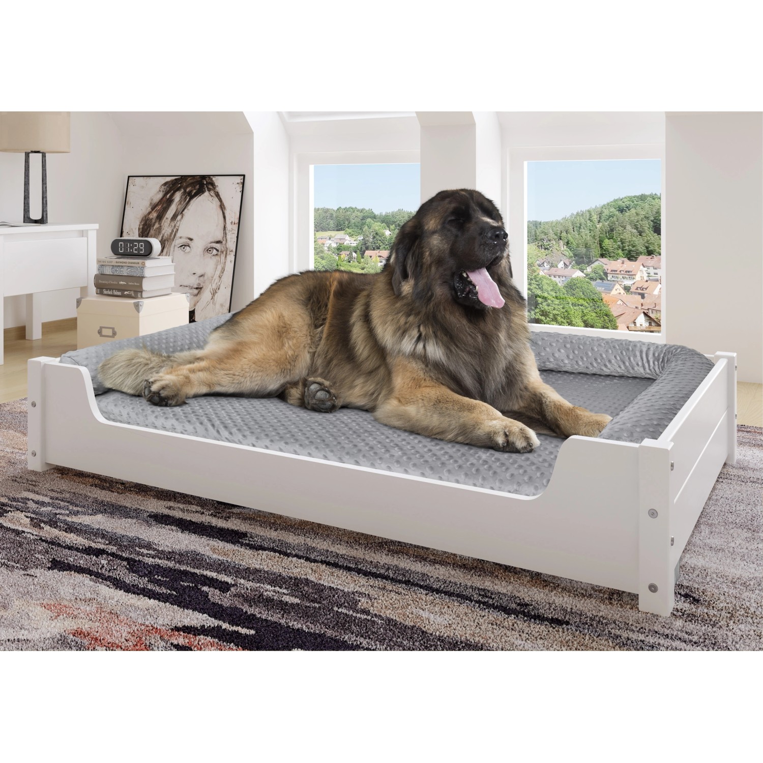 Weißes XXL Hundesofa aus Kiefernholz mit Liegefläche und großem Bernhardiner Hund.