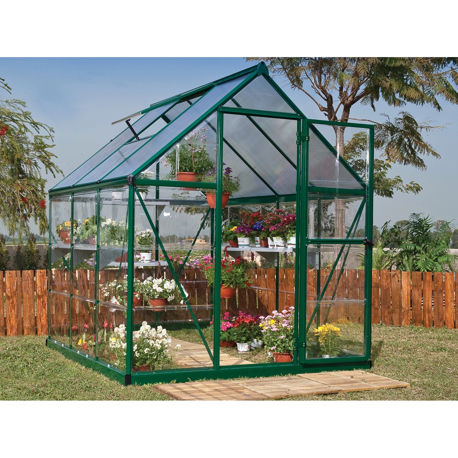 Palram Canopia Hybrid 1.9 x 1.9 Gewächshaus Grün klare Seitenwände