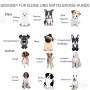 Kleine und mittelgroße Hunderassen wie Mops, Beagle, Terrier, passend für PawHut Türschutzgitter.