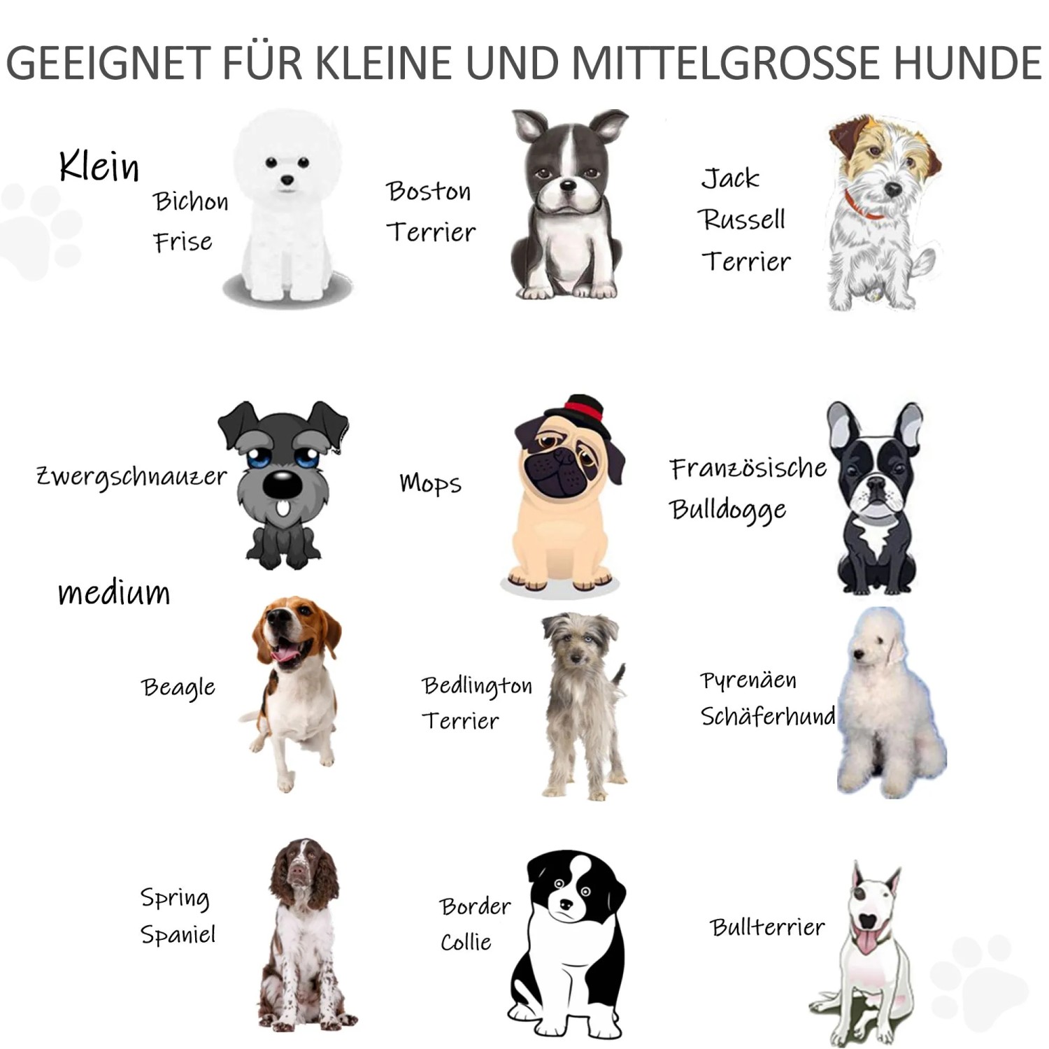 Kleine und mittelgroße Hunderassen wie Mops, Beagle, Terrier, passend für PawHut Türschutzgitter.