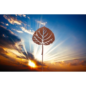 Ferrum Art Design Gartenstecker Haselnussblatt Edelrost vor Sonnenuntergang.