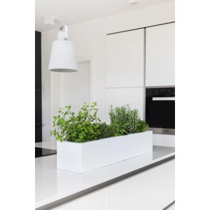 Weißer Vivanno Pflanzkasten Flobo 80 cm mit Kräutern in moderner Küche.