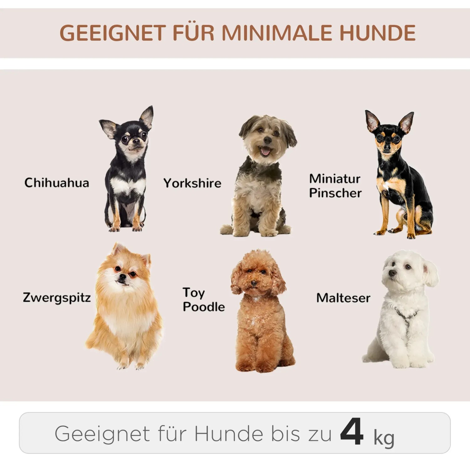 Geeignete Hunderassen (bis 4 kg) für die PawHut Hundetransporttasche: Chihuahua, Yorkshire, Zwergspitz, Malteser, etc.