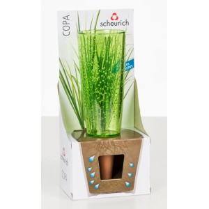 Scheurich Bewässerungsfigur Copa M Green, 150ml, für Zimmer- & Gartenpflanzen.