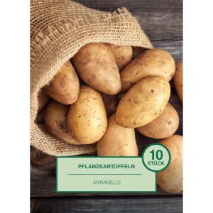 Pflanzkartoffeln Annabelle, 10 Stück im Jutesack.