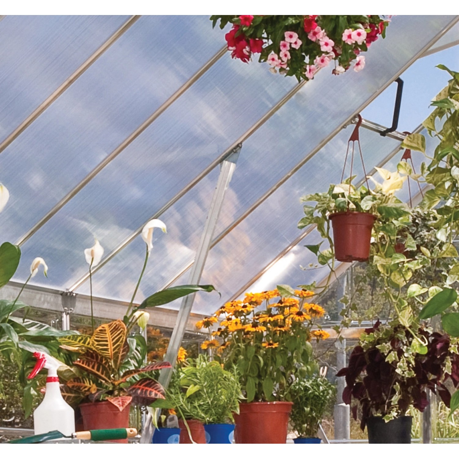 Innenansicht: Palram Canopia Balance Gewächshaus mit Pflanzen.