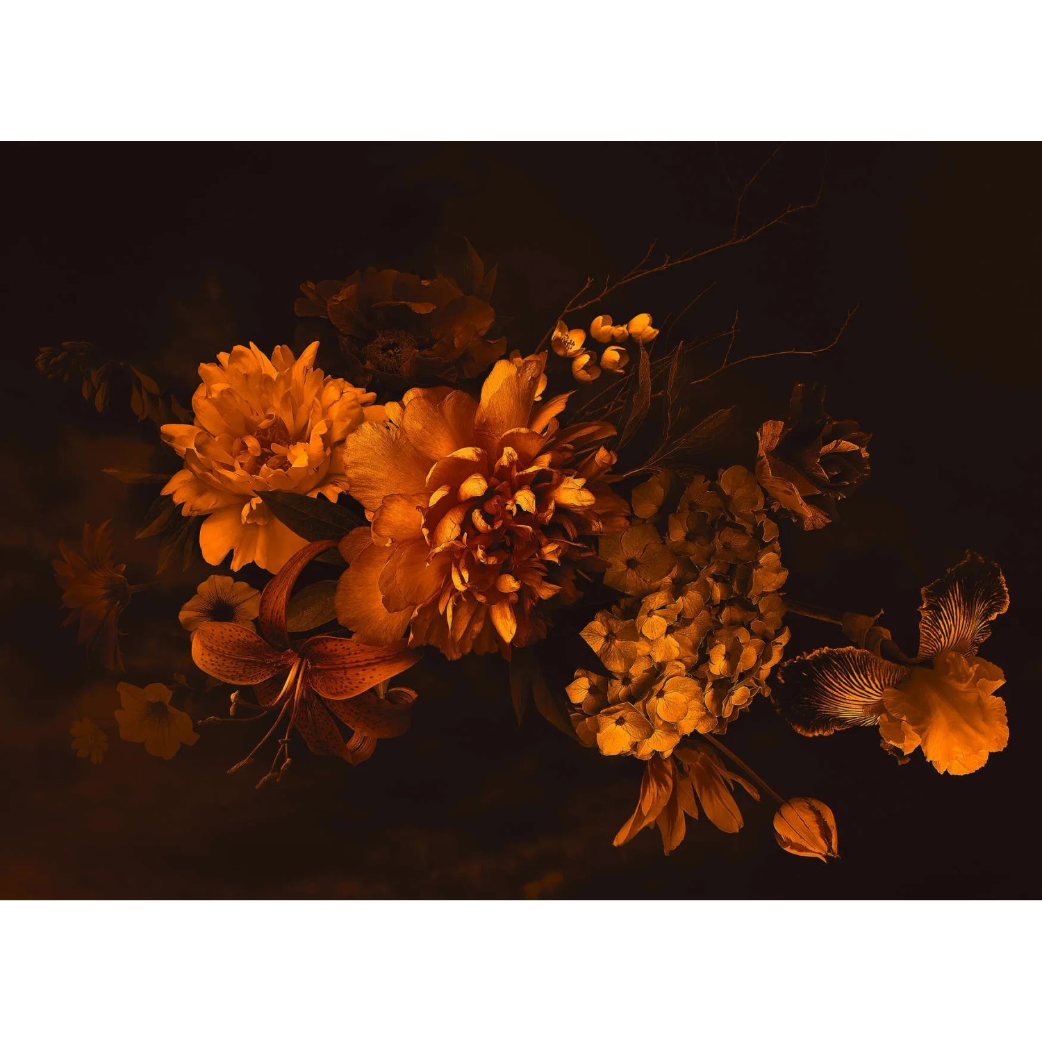 living walls Fototapete Designwalls Blossom Variety 2, glatt, (5 St)