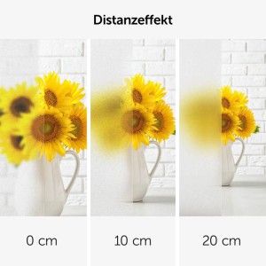 Fensterfolie Frosted Look: Distanzeffekt mit Sonnenblumen, unscharf bei 0, 10, 20 cm Abstand. Blickdichter Sichtschutz.