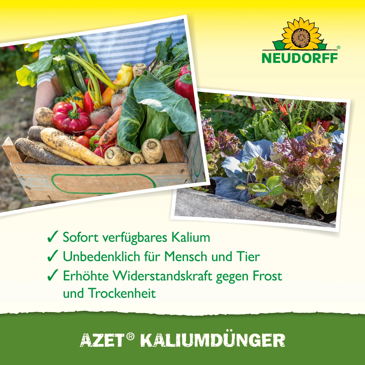 Neudorff Azet Kaliumdünger 2 kg: Gemüse und Pflanzen im Gartenbeet.