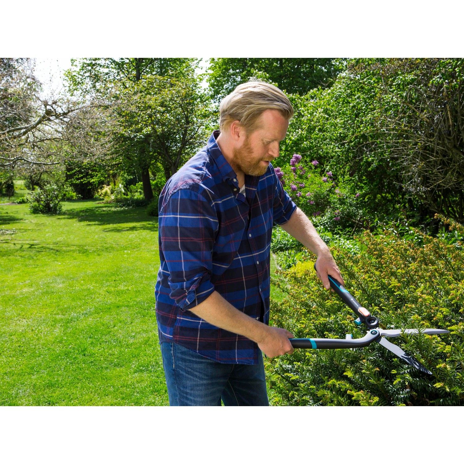 Mann schneidet Hecke mit Gardena Heckenschere 2in1 EnergyCut im Garten.