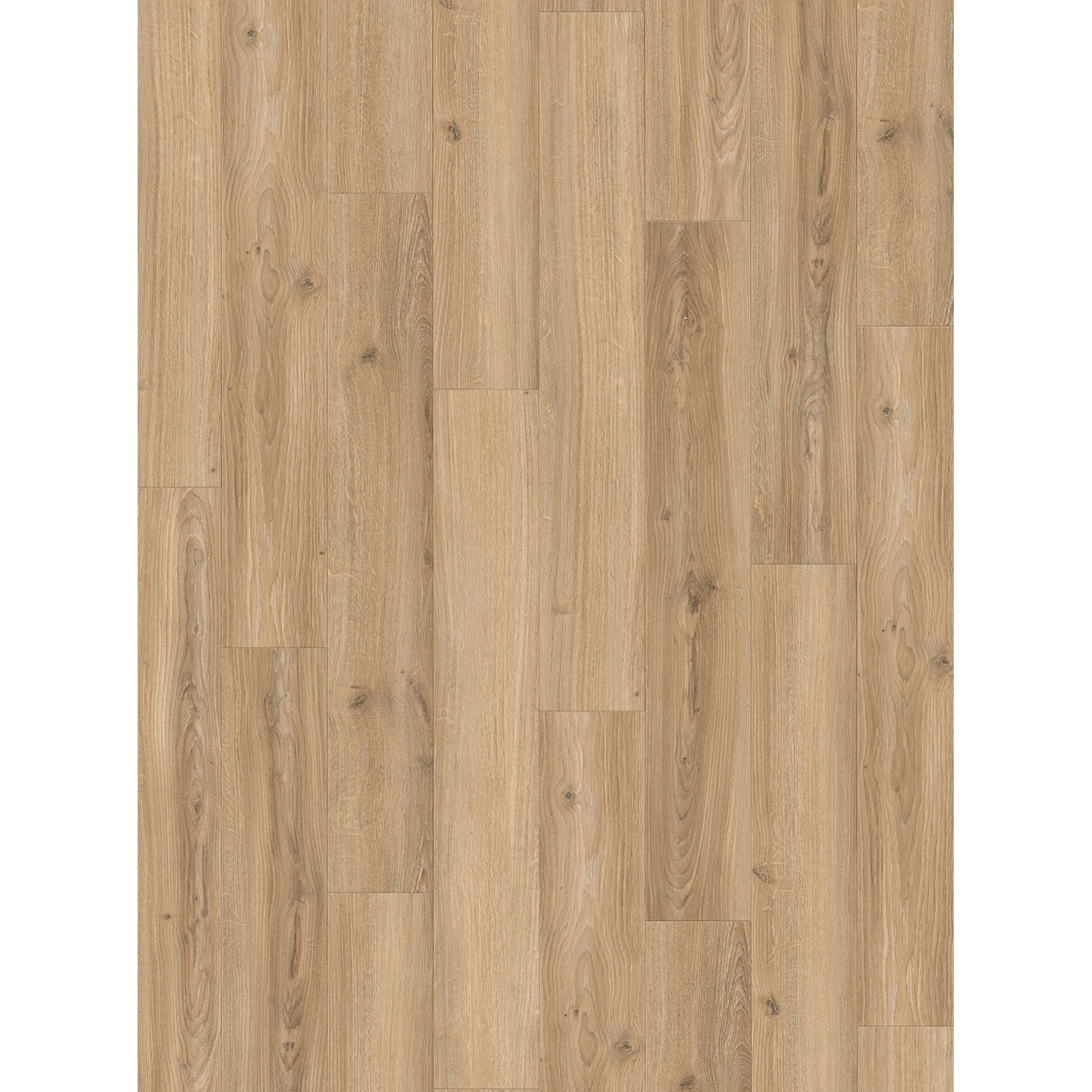 Parador Laminatboden Basic 400 M4V Eiche Studioline Beige Naturmattstruktur LHD