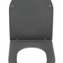 Wenko WC-Sitz Galati aus Duroplast in Anthrazit, D-Form mit Absenkautomatik.