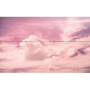 Fototapete mit rosa Wolken und Vögeln auf einer Leitung. Sanders & Sanders, 400x250 cm.