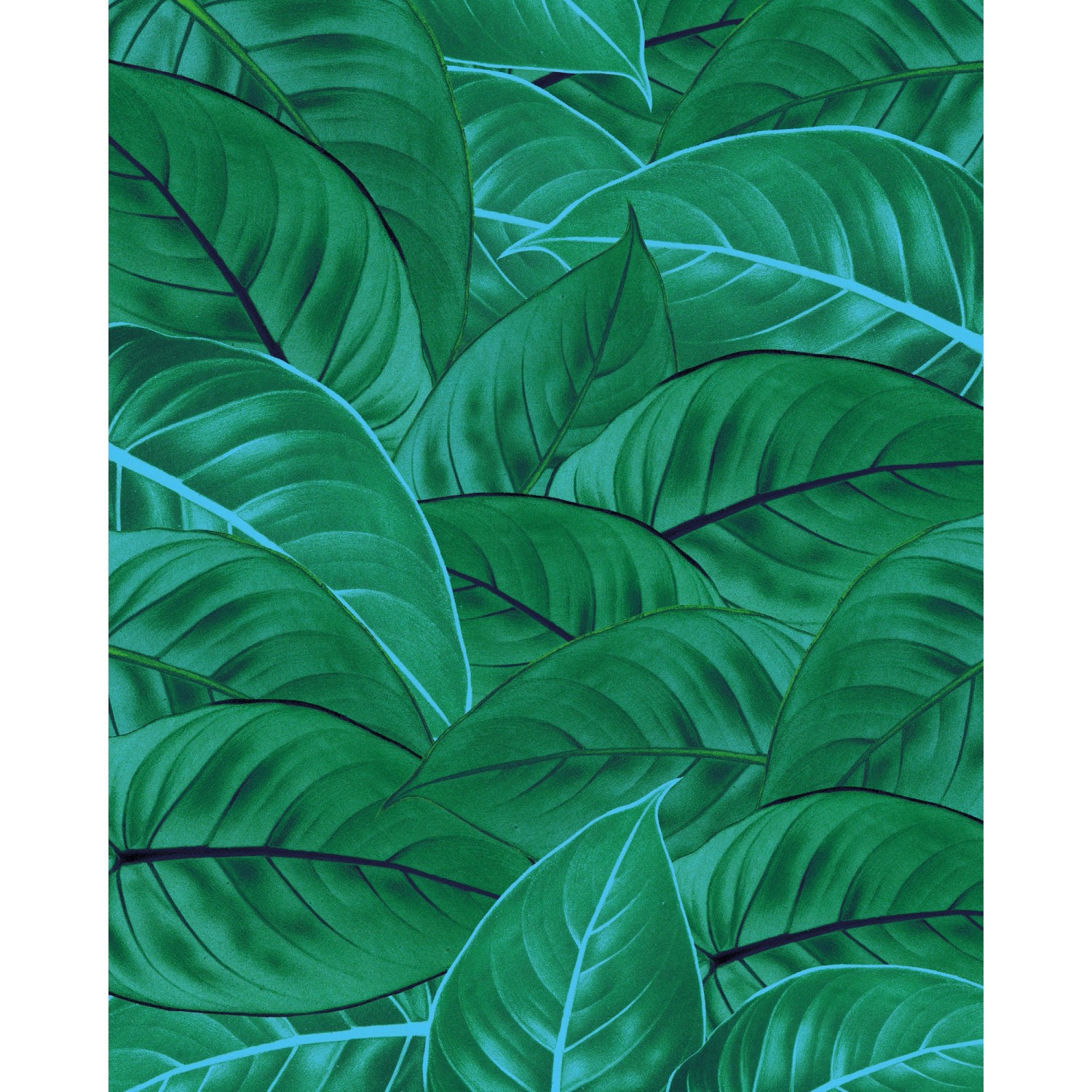 Komar Fototapete Vlies Jungle Leaves  200 x 250 cm