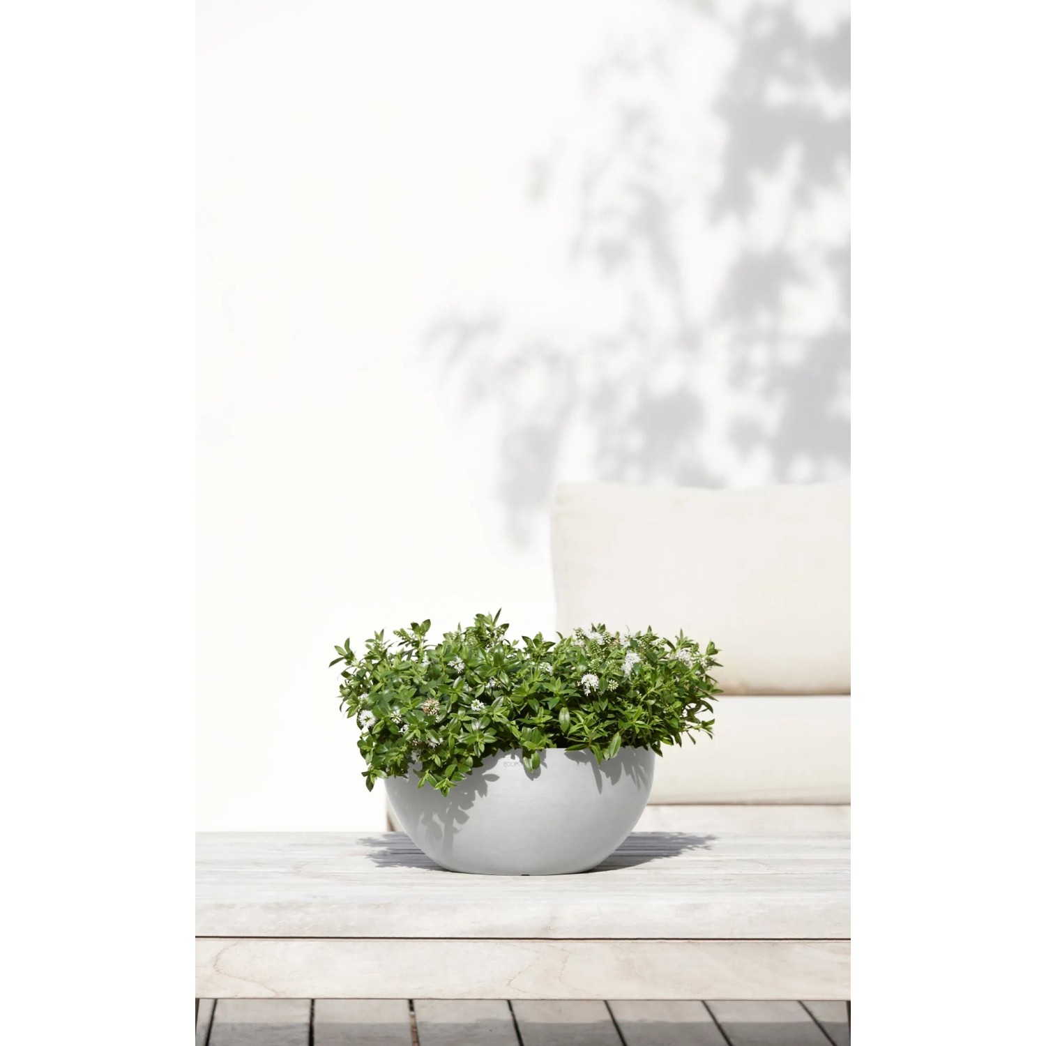 Ecopots Pflanztopf Brussels, weißgrau, 30 cm. Runde Pflanzschale mit grüner Pflanze auf Tisch.