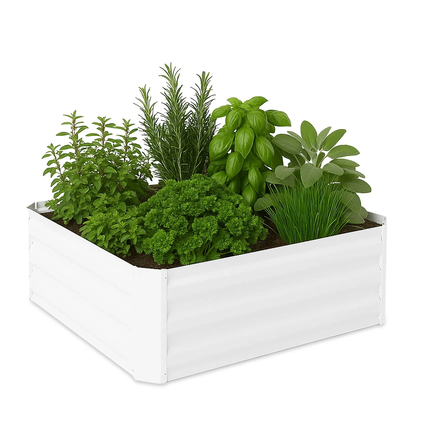 Relaxdays Hochbeet Verzinktes Eisen Weiß Ohne Boden 30 cm x 90 cm x 90 cm 6,4 kg