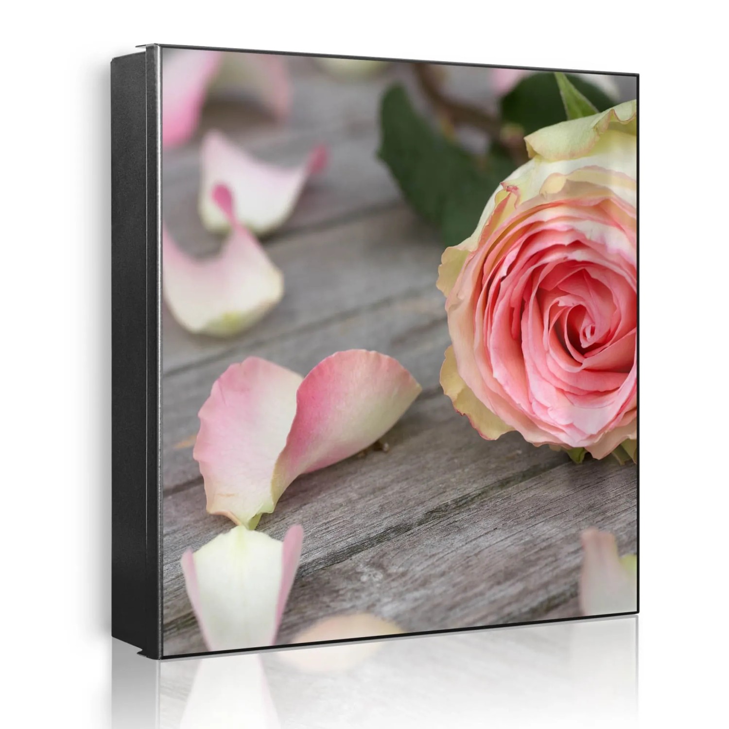 Banjado Großer Schlüsselkasten Metall 30x30cm Schwarz Scharnier Links 50 Haken Beschreibbar Magnetisch Motiv Rosa Rose