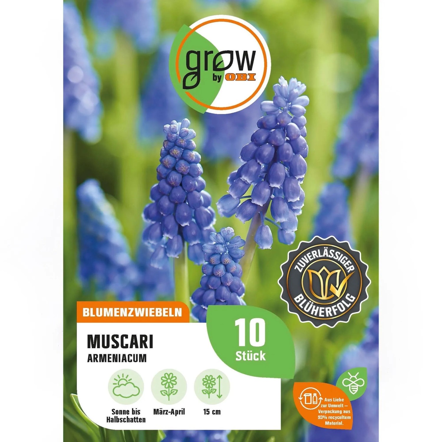 GROW by OBI Traubenhyazinthe Armeniacum Blau 10 Stück Muscari armeniacum