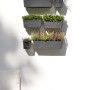Ecopots Manhattan Wall Hängetöpfe in Dunkelgrau mit Bepflanzung an einer weißen Wand.