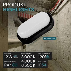LUXULA Feuchtraumleuchte IP65 CCT 3000K-6500K Warm- Kaltweiß Ovalleuchte 12W Kellerlampe 1080lm Garagenleuchte Außenleuchte Schwarz