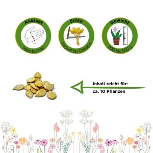 Samen von 'Deine Gartenwelt' Kürbis Sweet Dumpling: Aussaat, Ernte und Gewicht der Pflanze.