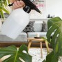Schwarzer Relaxdays Drucksprüher aus Kunststoff mit Messingdüse beim Bewässern einer Pflanze.
