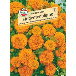 Samenpackung Studentenblume Petite Orange von Sperli mit orange-gelben Blüten.