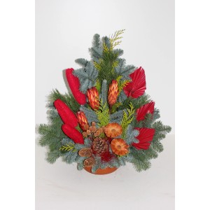 Rote Grabschale Nobilis, ca. 22 cm, mit Tannengrün, Zapfen und roten Akzenten für Gedenktage.