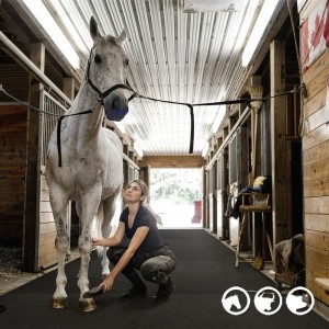 Pferdestall mit wasserbeständiger KARAT Gummimatte Pontiac, 122x182cm, mit Frau und Pferd.