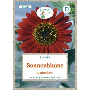 Saatgutpackung Grüne Fee Sonnenblume Herbstlicht mit dunkelroter Blüte und brauner Mitte.