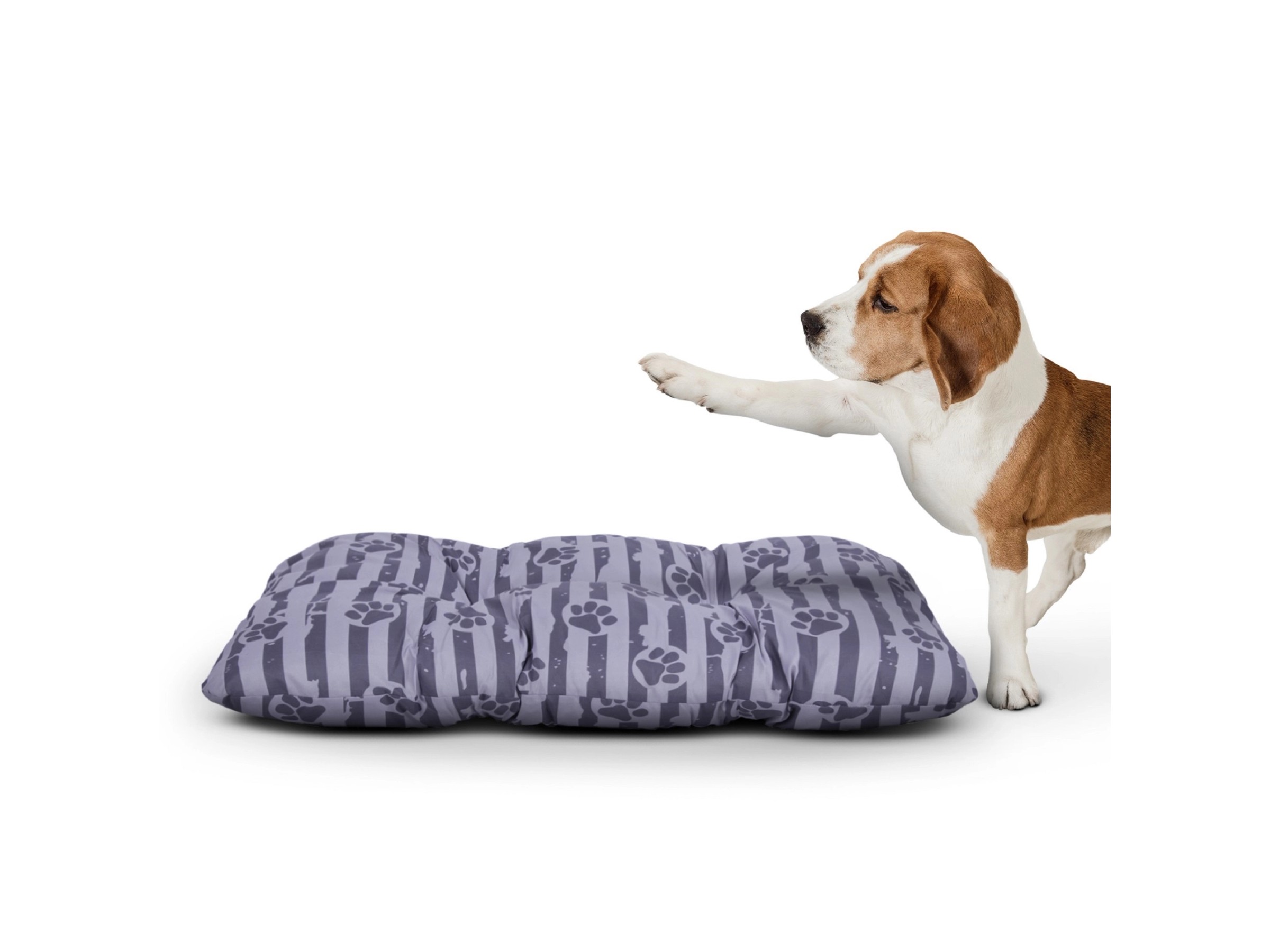 Orthopädisches Hundekissen – Rund, 70 Cm, Antistress, Mit Rutschfester Unterseite