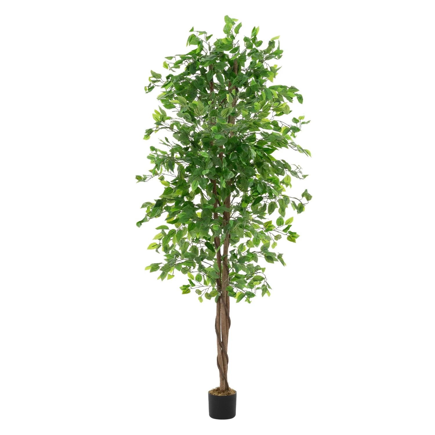 ML-Design Kunstpflanze Ficus 210 cm mit Naturholzstamm günstig online kaufen