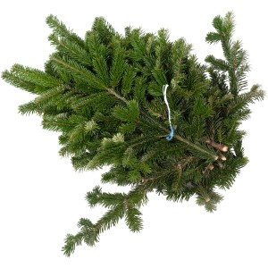 Bund Tannenzweige der Nordmanntanne (2,5 kg) für Adventsgestecke und Weihnachtsdeko.