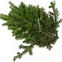 Bund Tannenzweige der Nordmanntanne (2,5 kg) für Adventsgestecke und Weihnachtsdeko.